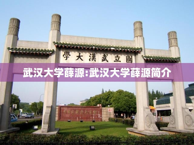 武汉大学薛源:武汉大学薛源简介 武汉大学薛源:武汉大学薛源简介