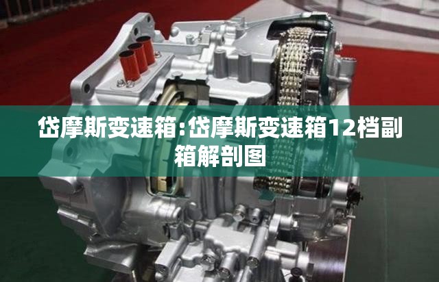 岱摩斯变速箱:岱摩斯变速箱12档副箱解剖图