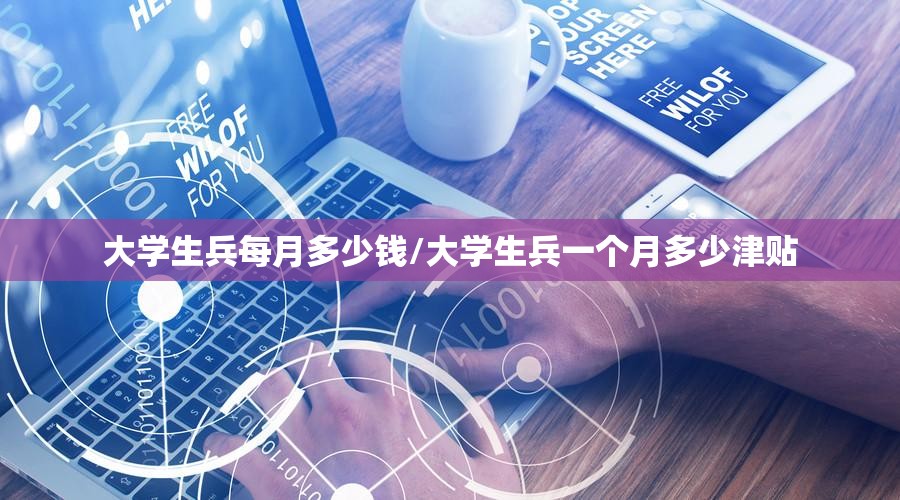大学生兵每月多少钱/大学生兵一个月多少津贴