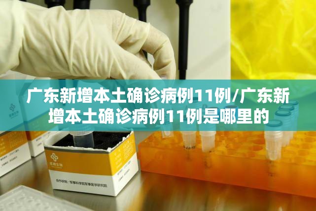广东新增本土确诊病例11例/广东新增本土确诊病例11例是哪里的