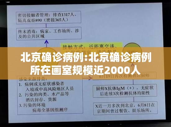 北京确诊病例:北京确诊病例所在画室规模近2000人