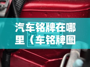 汽车铭牌在哪里(车铭牌图片) 汽车铭牌在哪里(车铭牌图片)