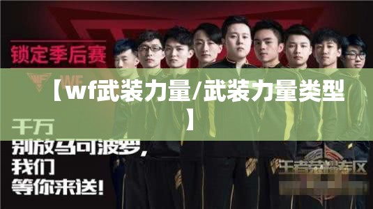 【wf武装力量/武装力量类型】 【wf武装力量/武装力量类型】