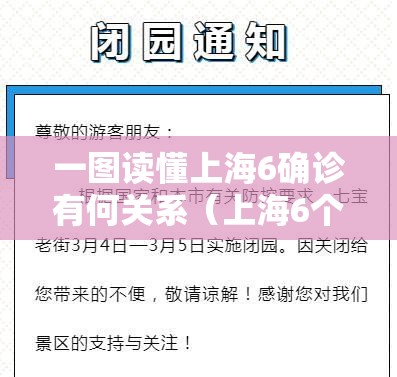 一图读懂上海6确诊有何关系(上海6个确诊) 一图读懂上海6确诊有何关系(上海6个确诊)