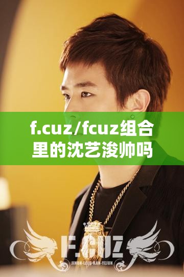 f.cuz/fcuz组合里的沈艺浚帅吗