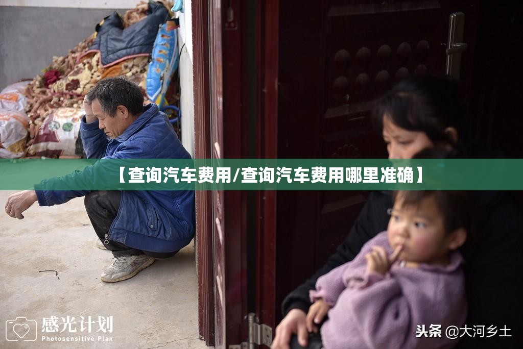 【查询汽车费用/查询汽车费用哪里准确】 【查询汽车费用/查询汽车费用哪里准确】