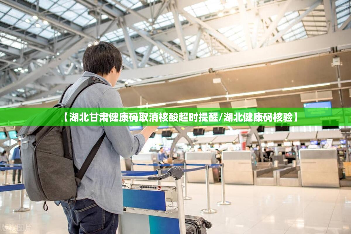 【湖北甘肃健康码取消核酸超时提醒/湖北健康码核验】