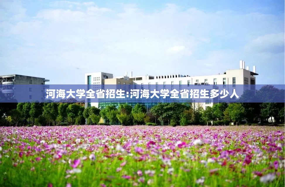河海大学全省招生:河海大学全省招生多少人