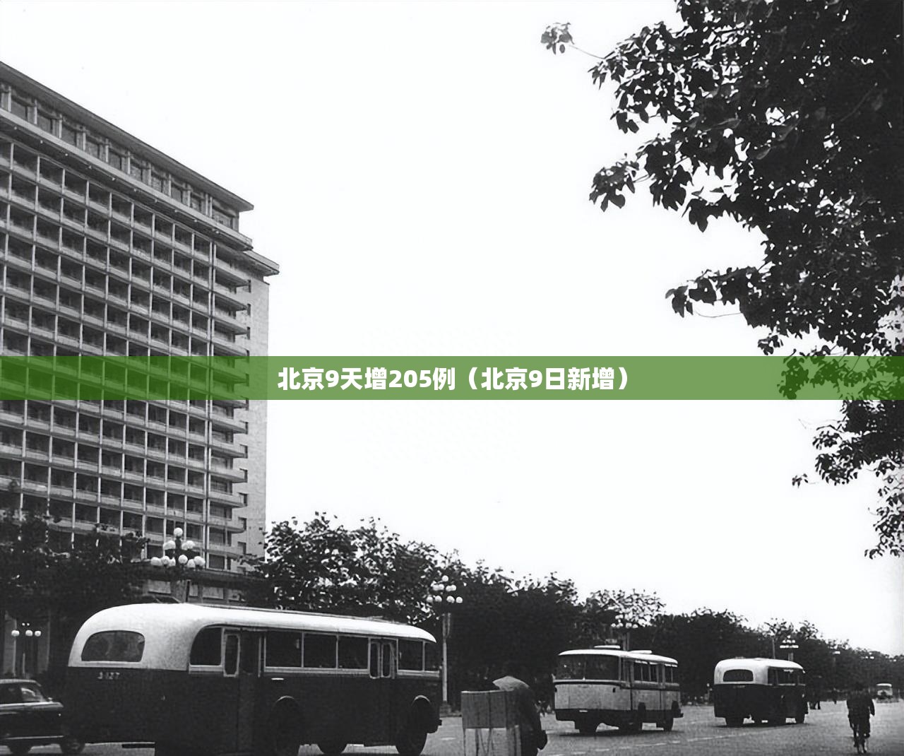 北京9天增205例(北京9日新增) 北京9天增205例(北京9日新增)