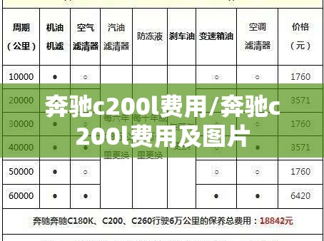 奔驰c200l费用/奔驰c200l费用及图片