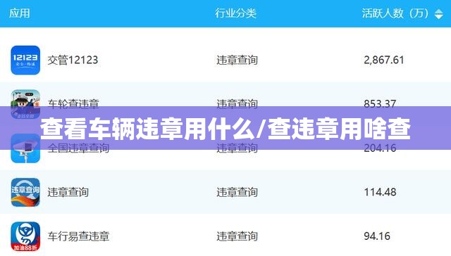 查看车辆违章用什么/查违章用啥查 查看车辆违章用什么/查违章用啥查