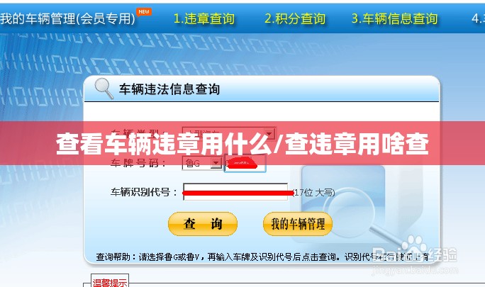 查看车辆违章用什么/查违章用啥查 查看车辆违章用什么/查违章用啥查