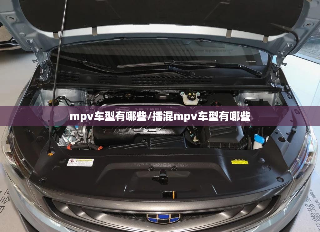 mpv车型有哪些/插混mpv车型有哪些 mpv车型有哪些/插混mpv车型有哪些