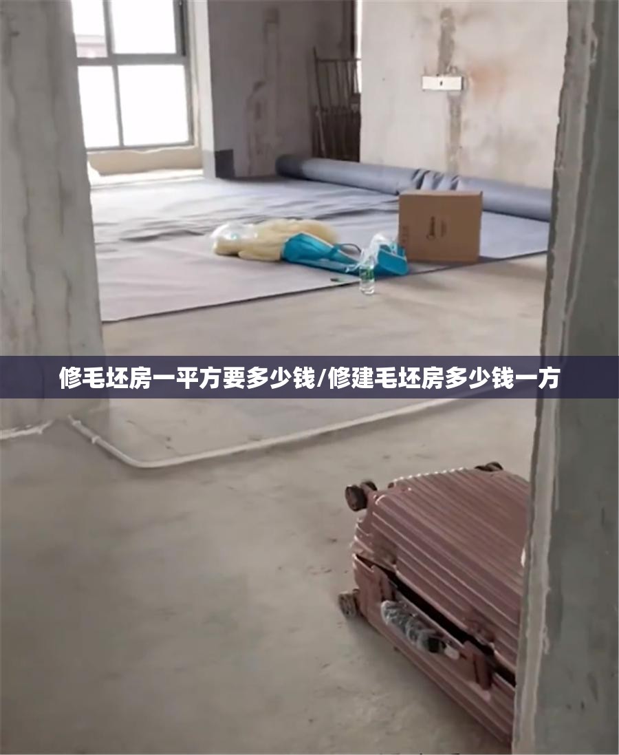 修毛坯房一平方要多少钱/修建毛坯房多少钱一方