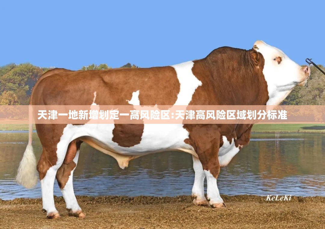 天津一地新增划定一高风险区:天津高风险区域划分标准