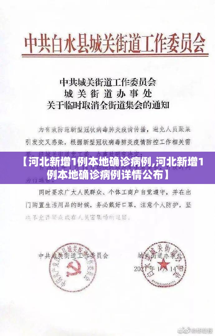 【河北新增1例本地确诊病例,河北新增1例本地确诊病例详情公布】