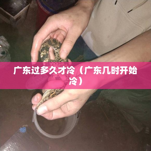 广东过多久才冷（广东几时开始冷）
