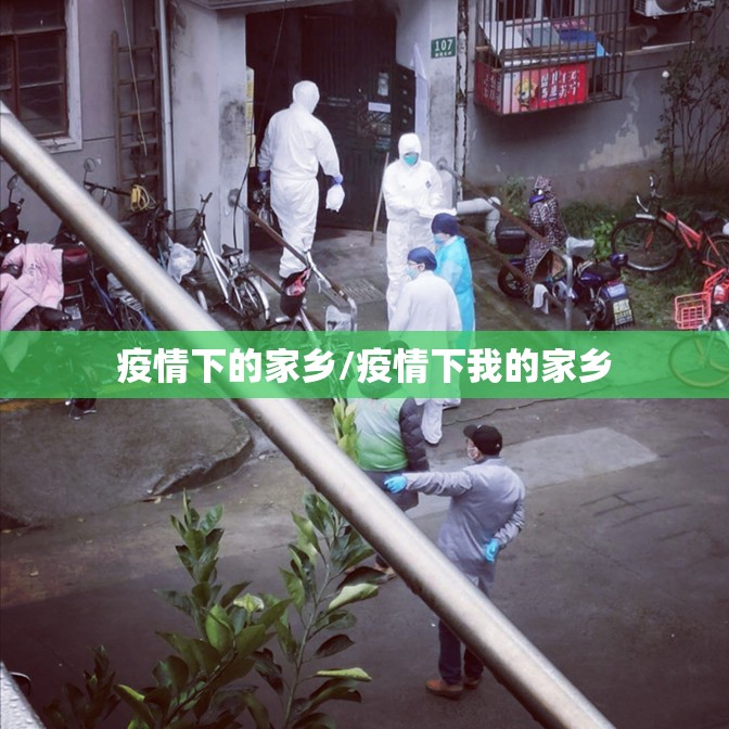 疫情下的家乡/疫情下我的家乡 疫情下的家乡/疫情下我的家乡