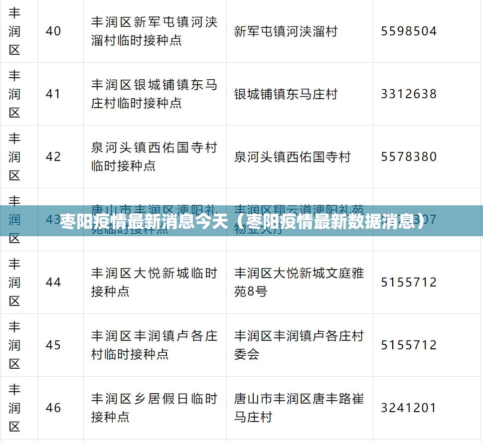 枣阳疫情最新消息今天（枣阳疫情最新数据消息）