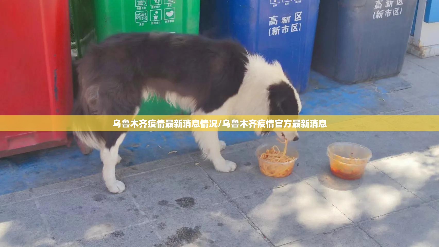 乌鲁木齐疫情最新消息情况/乌鲁木齐疫情官方最新消息