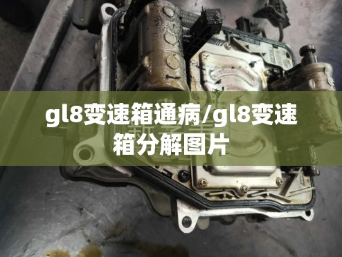 gl8变速箱通病/gl8变速箱分解图片