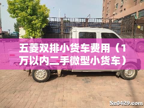 五菱双排小货车费用（1万以内二手微型小货车）
