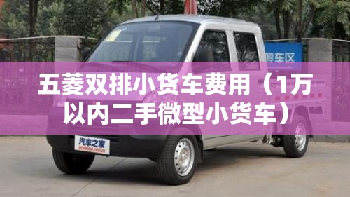 五菱双排小货车费用（1万以内二手微型小货车）