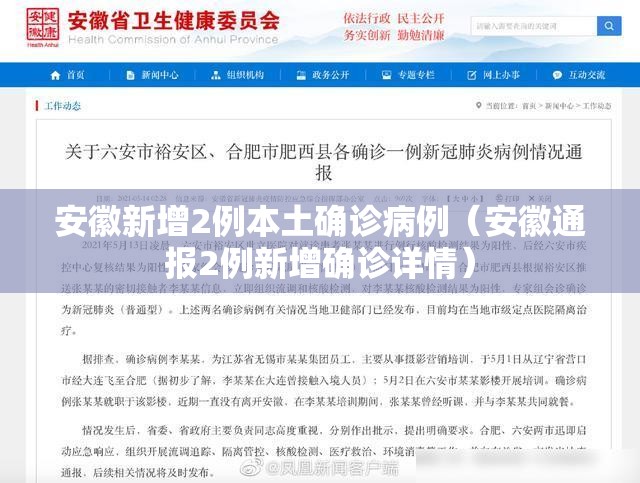 安徽新增2例本土确诊病例(安徽通报2例新增确诊详情) 安徽新增2例本土确诊病例(安徽通报2例新增确诊详情)
