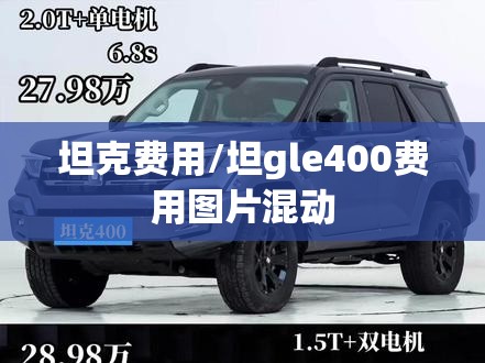 坦克费用/坦gle400费用图片混动