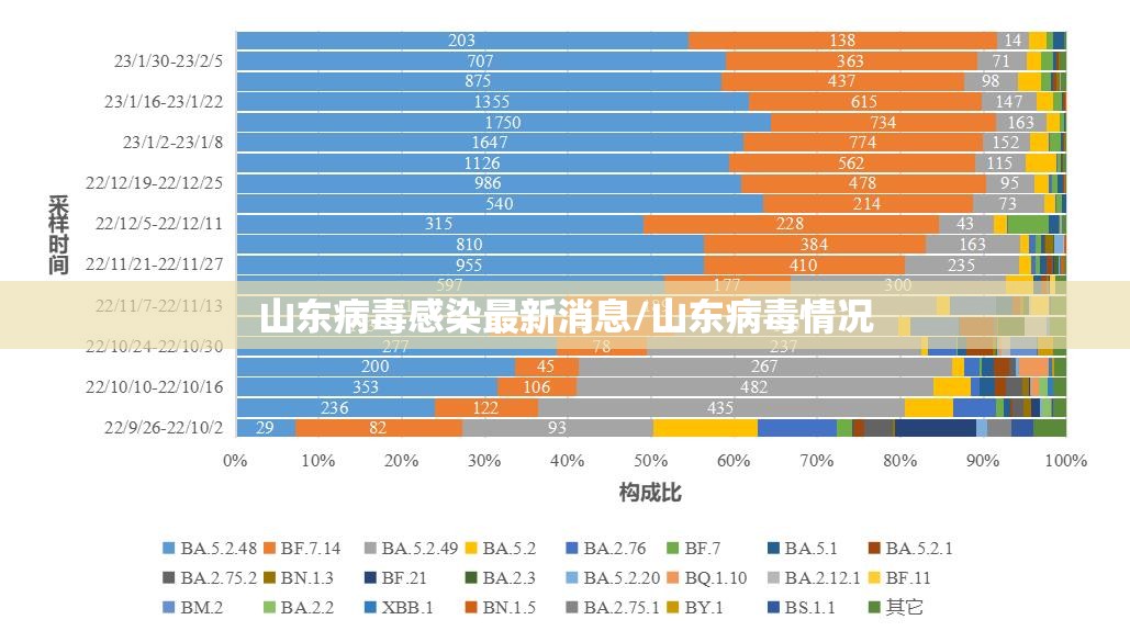 山东病毒感染最新消息/山东病毒情况