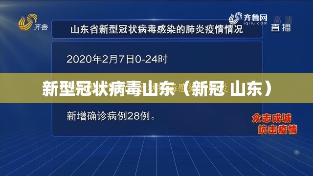 新型冠状病毒山东（新冠 山东）