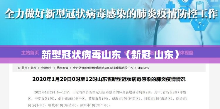 新型冠状病毒山东（新冠 山东）