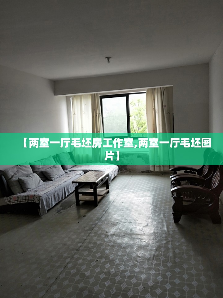 【两室一厅毛坯房工作室,两室一厅毛坯图片】