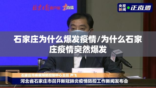 石家庄为什么爆发疫情/为什么石家庄疫情突然爆发 石家庄为什么爆发疫情/为什么石家庄疫情突然爆发