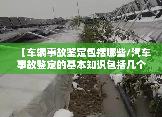 【车辆事故鉴定包括哪些/汽车事故鉴定的基本知识包括几个方面】 【车辆事故鉴定包括哪些/汽车事故鉴定的基本知识包括几个方面】
