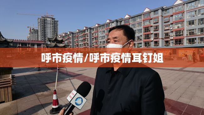 呼市疫情/呼市疫情耳钉姐