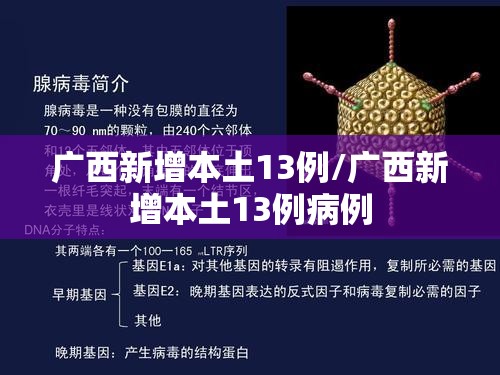 广西新增本土13例/广西新增本土13例病例 广西新增本土13例/广西新增本土13例病例