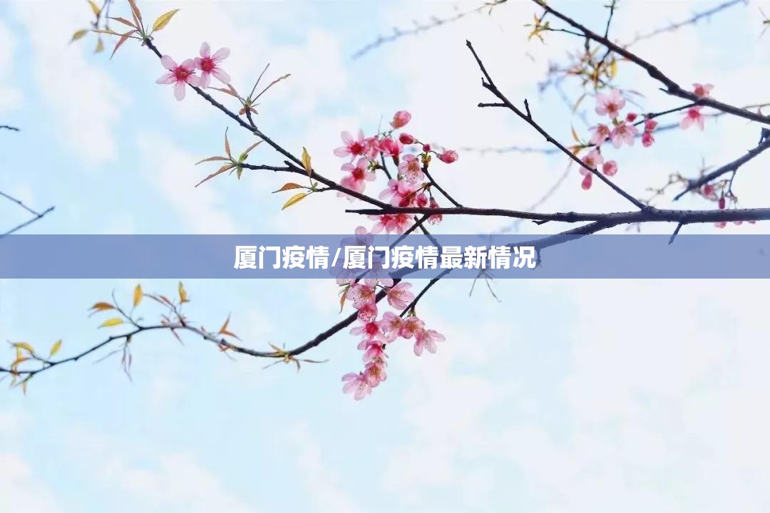 厦门疫情/厦门疫情最新情况