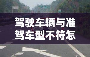 驾驶车辆与准驾车型不符怎么处理/驾驶车辆和准驾车型不符 怎么处理 驾驶车辆与准驾车型不符怎么处理/驾驶车辆和准驾车型不符 怎么处理