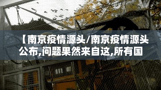 【南京疫情源头/南京疫情源头公布,问题果然来自这,所有国人注意】