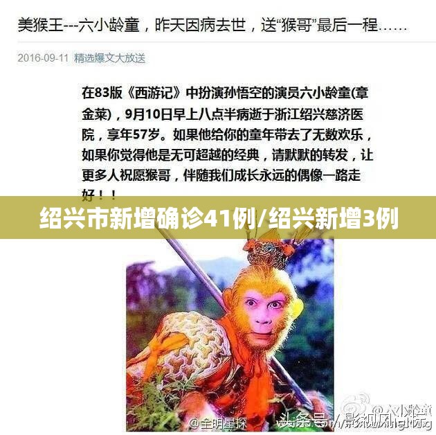 绍兴市新增确诊41例/绍兴新增3例