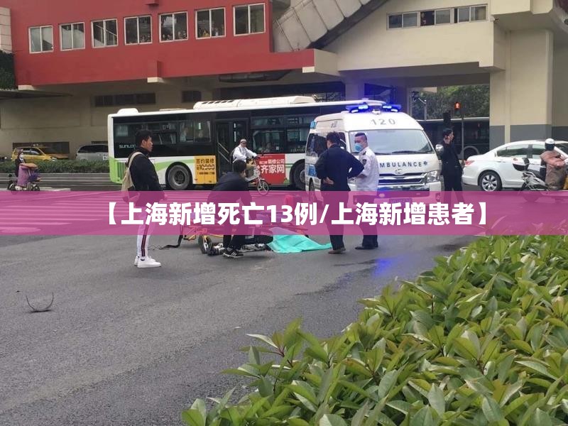 【上海新增死亡13例/上海新增患者】