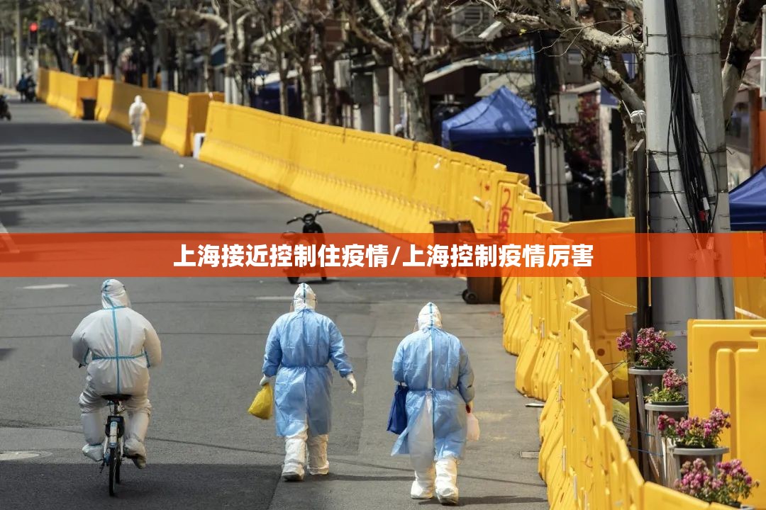 上海接近控制住疫情/上海控制疫情厉害