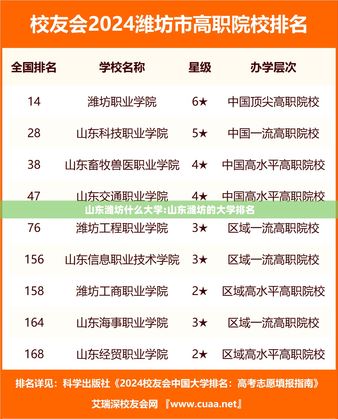 山东潍坊什么大学:山东潍坊的大学排名