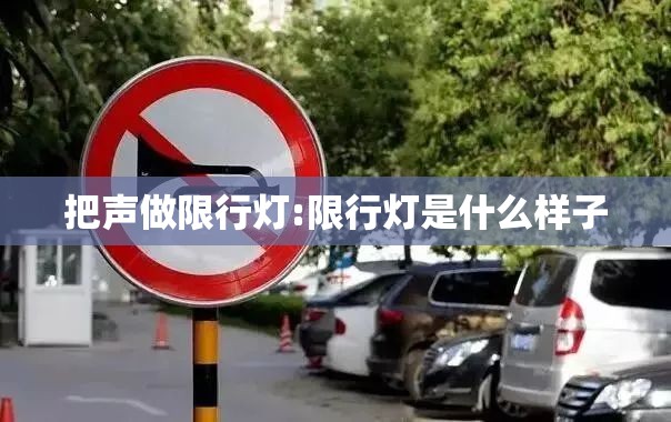 把声做限行灯:限行灯是什么样子