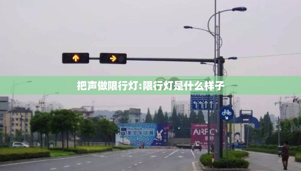 把声做限行灯:限行灯是什么样子