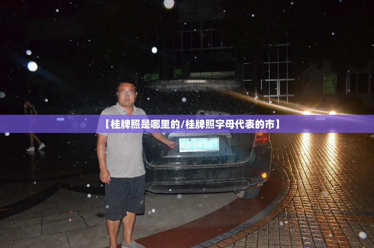 【桂牌照是哪里的/桂牌照字母代表的市】