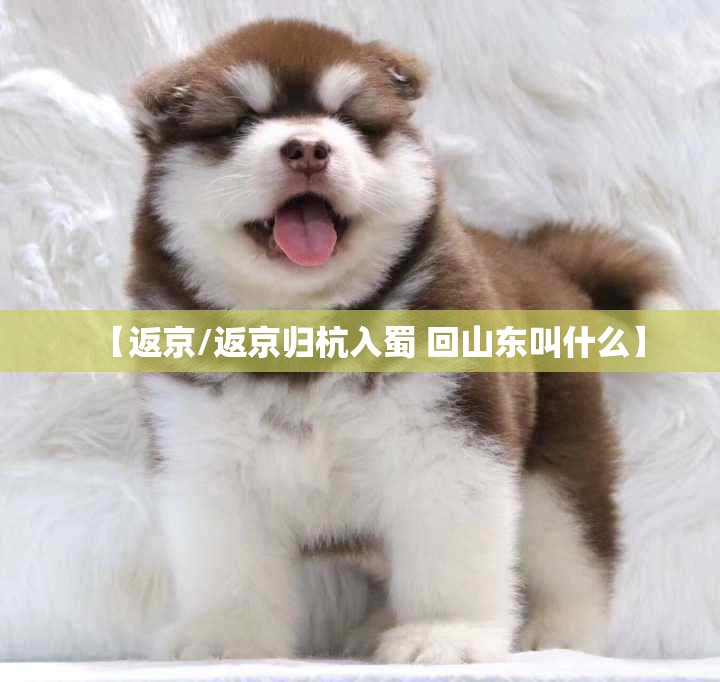 【返京/返京归杭入蜀 回山东叫什么】 【返京/返京归杭入蜀 回山东叫什么】
