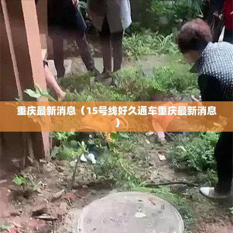 重庆最新消息（15号线好久通车重庆最新消息）