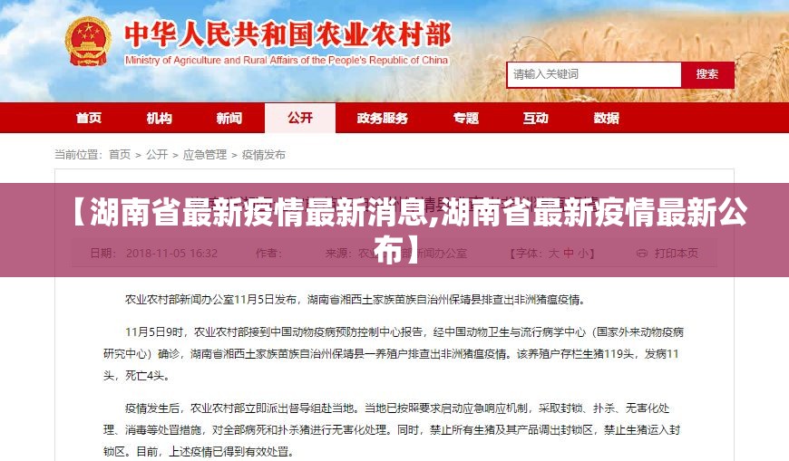 【湖南省最新疫情最新消息,湖南省最新疫情最新公布】 【湖南省最新疫情最新消息,湖南省最新疫情最新公布】